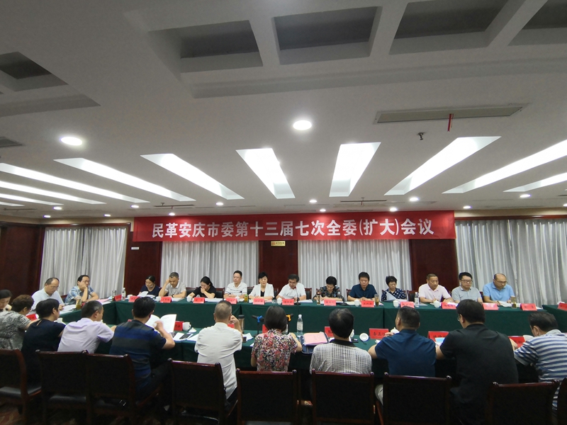 民革安庆市委会召开十三届七次全委(扩大)会议.jpg