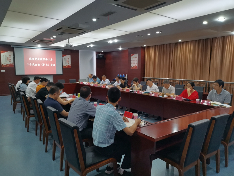 致公党安庆市委会召开二届二十次全委(扩大)会议.jpg