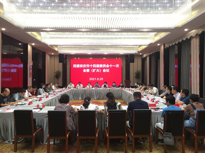 民盟安庆市委召开十四届十一次全委(扩大)会议.jpg