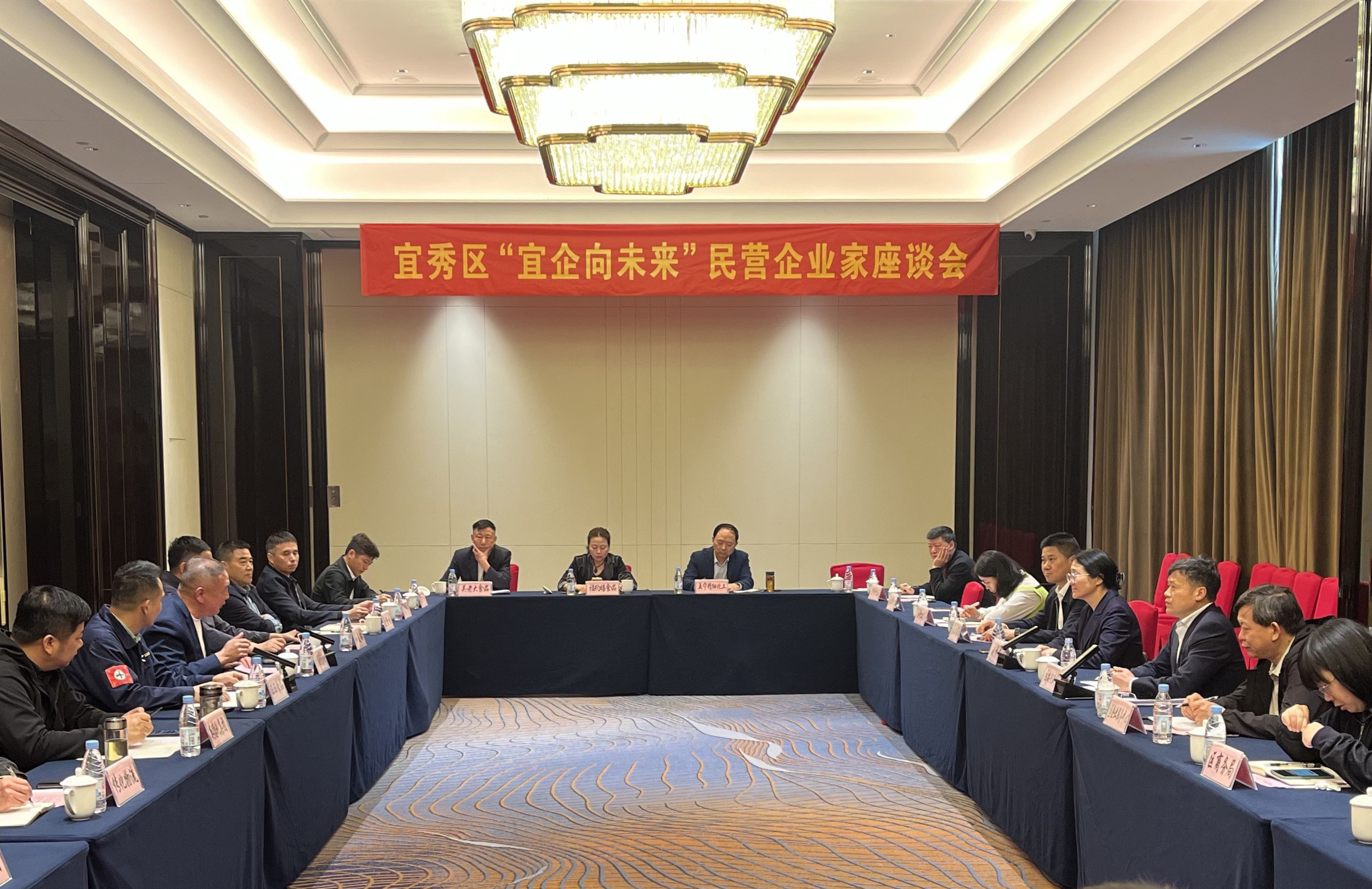 宜秀区召开民营企业家座谈会